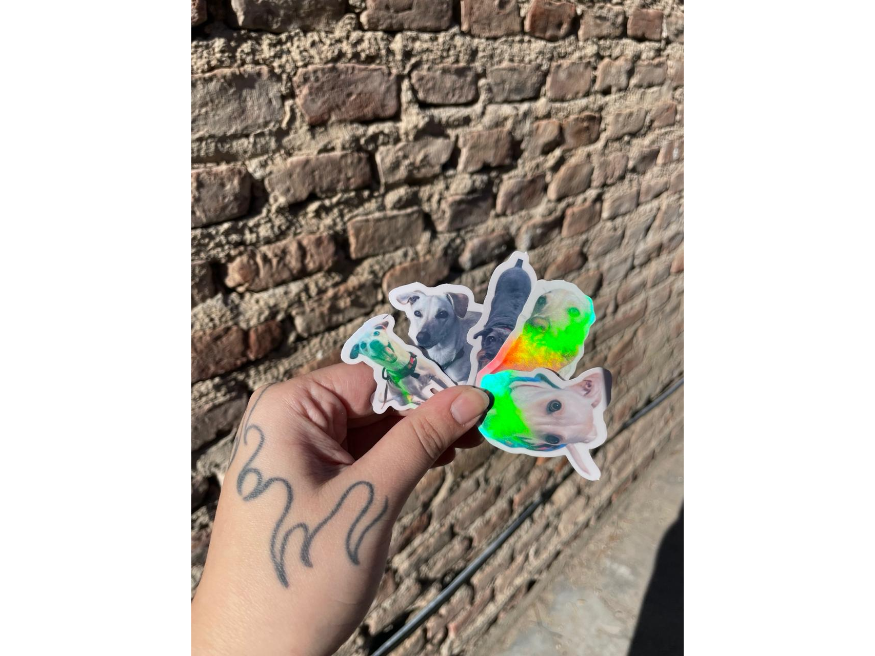 Stickers tornasol transparente