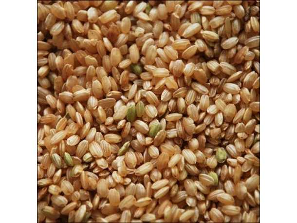 ARROZ YAMANI INTEGRAL