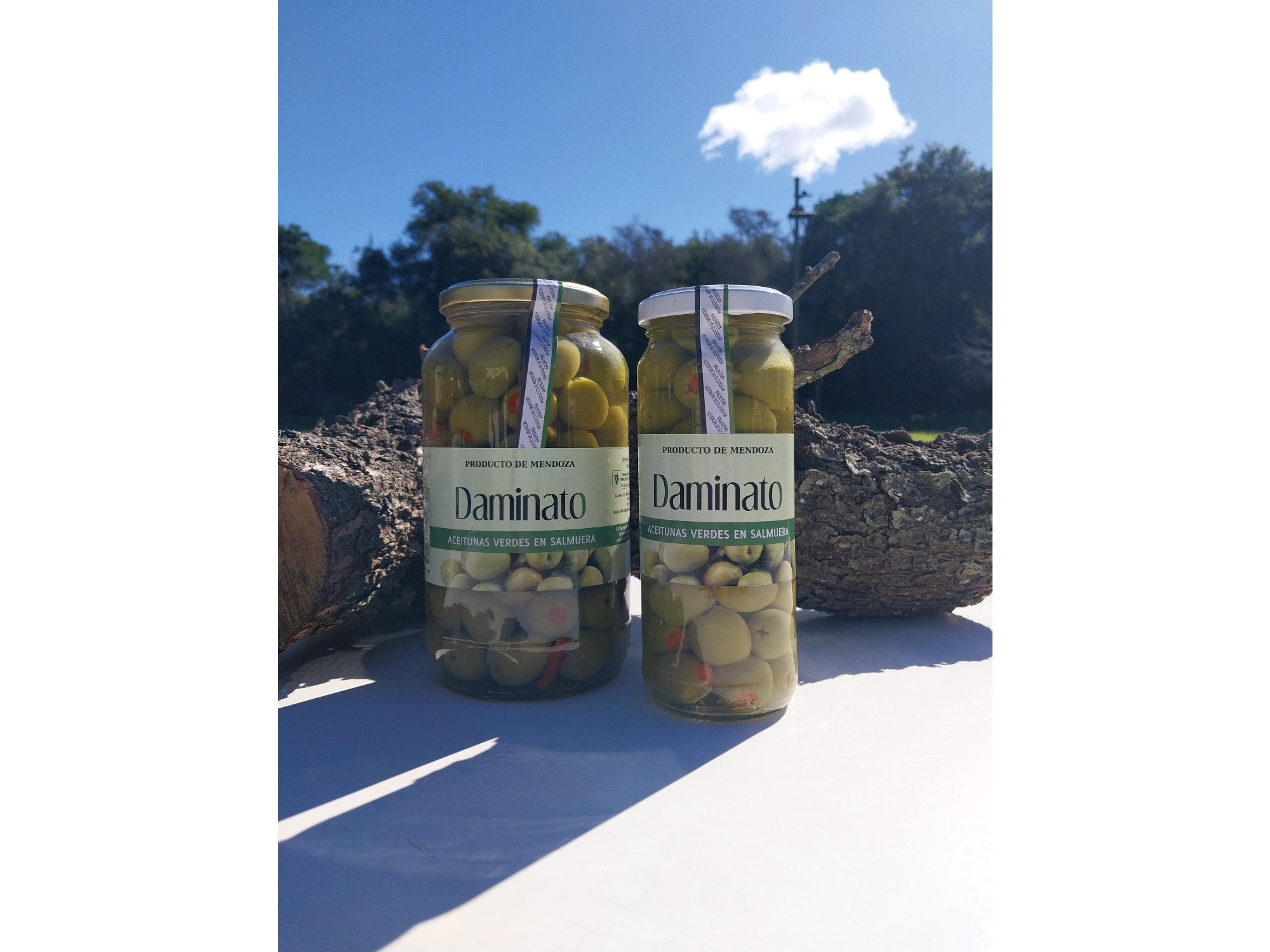 Aceitunas verdes rellenas con morrón Daminato