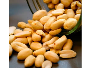 Mani Tostado sin Sal (Cordoba)