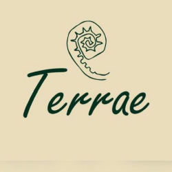 Logo Terraepaisajismo