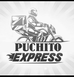 Logo Puchitoexpress