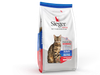 Sieger Katze Gato Adulto