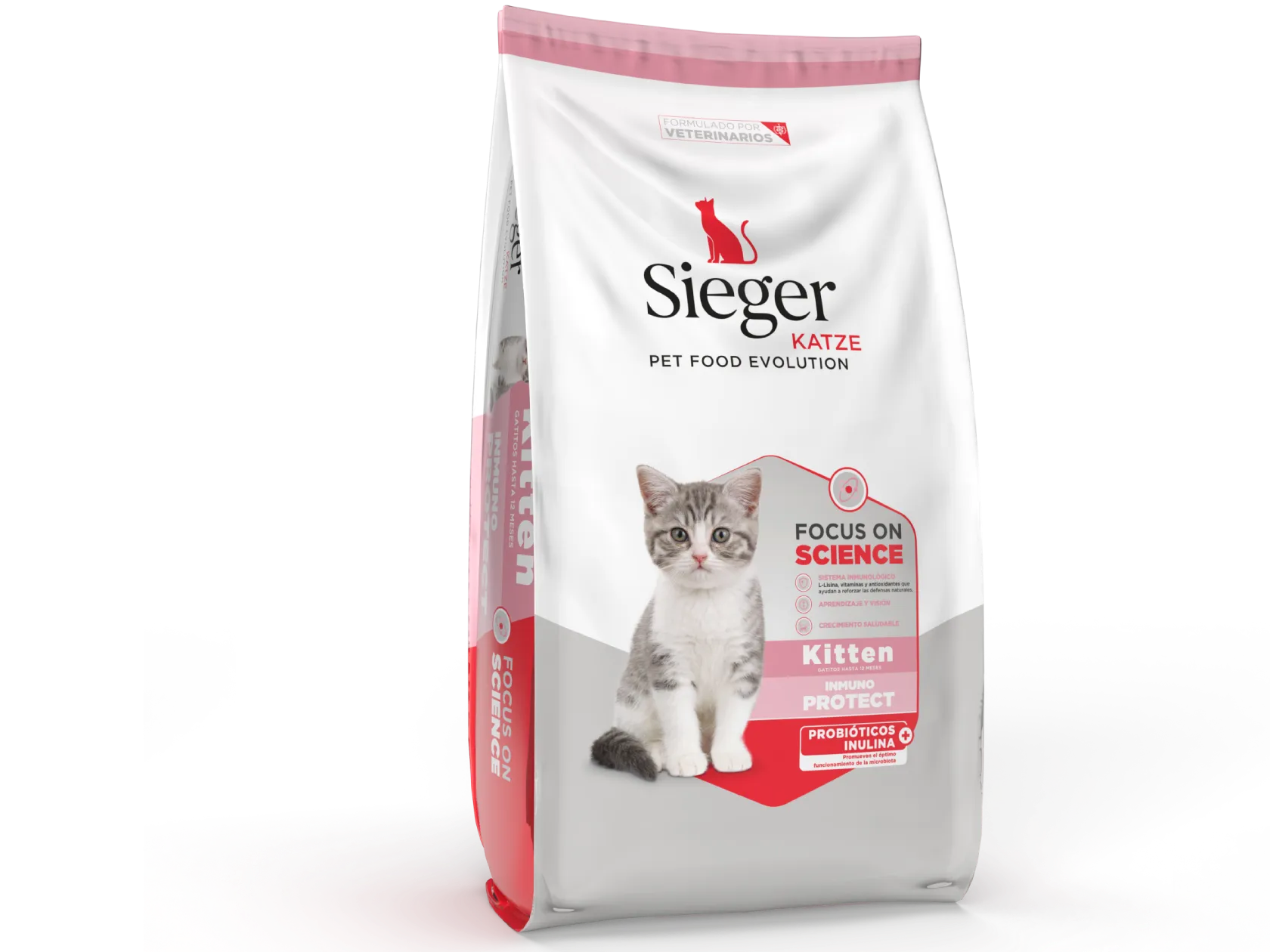 Sieger Kitten