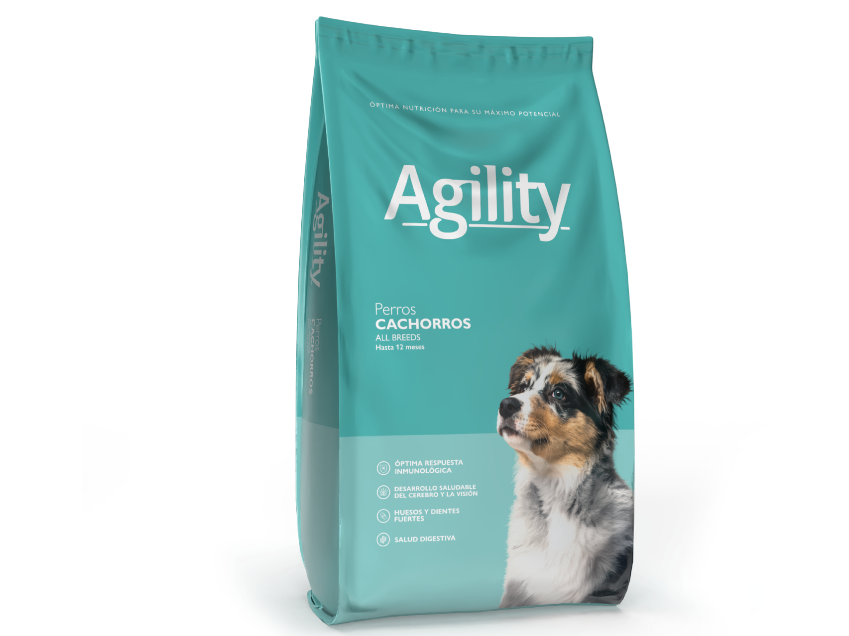 Agility Cachorro