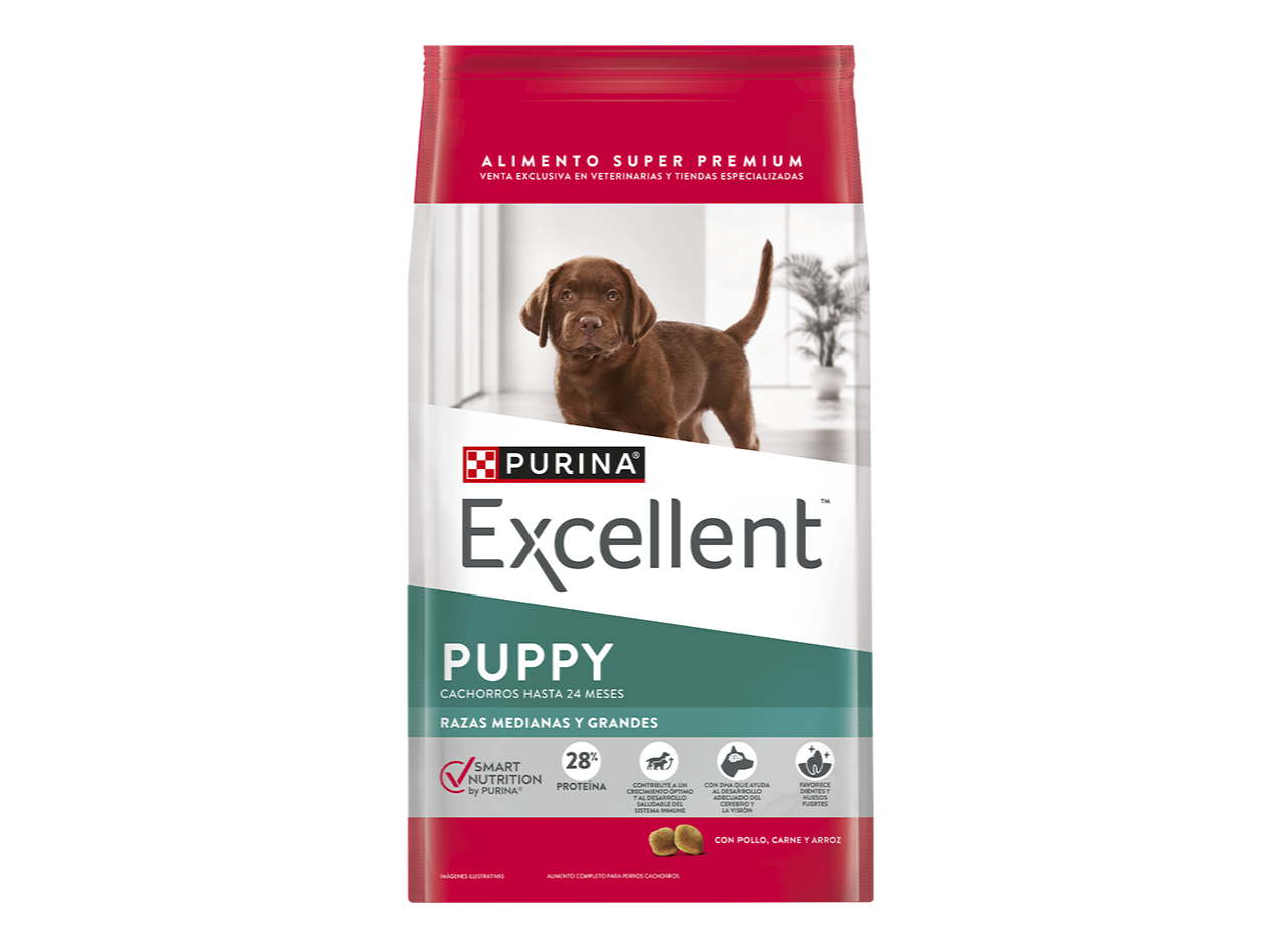 Excellent Puppy Raza Mediana y Grande