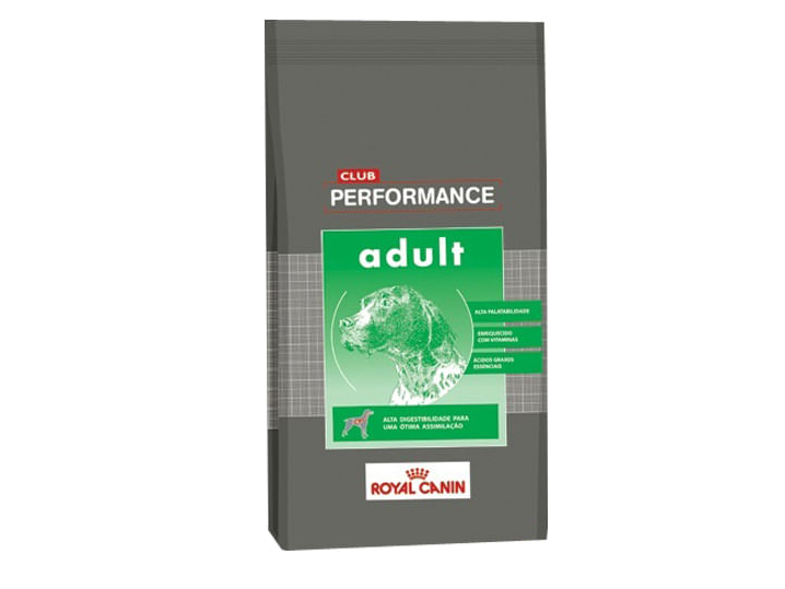 Performance Adulto