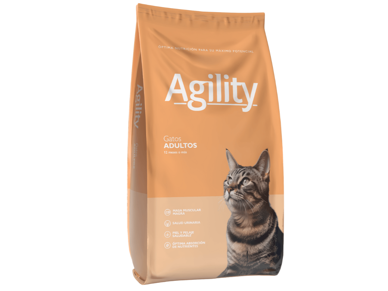 Agility Cat Adulto x 10kg
