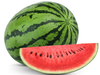 Sandia