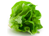 Lechuga Manteca