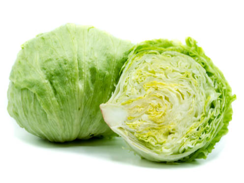 Lechuga Repollada