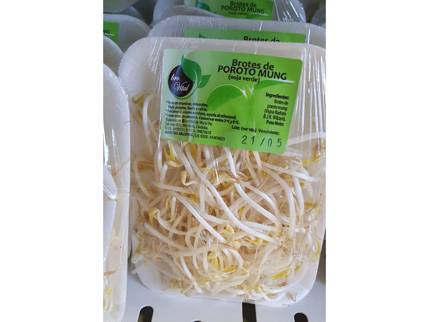 Brotes de Soja
