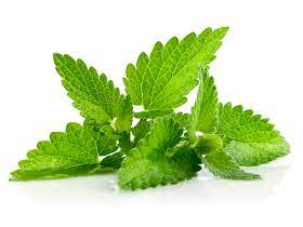 Menta Paquete