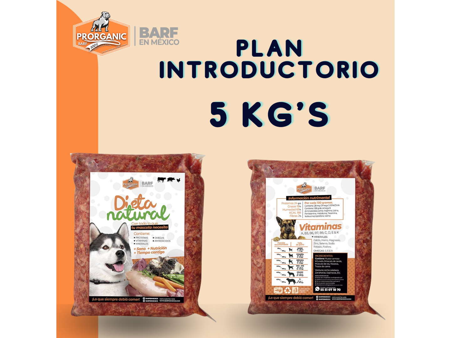 Plan Introductorio Dieta Natural 5 Kg's