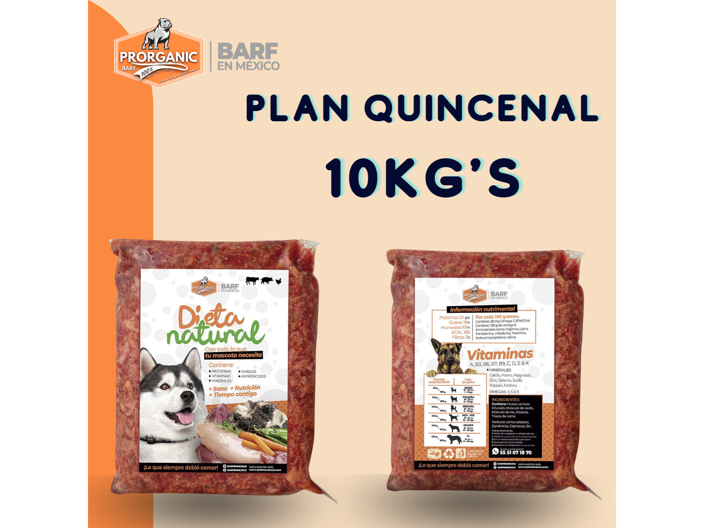 Plan Quincenal Dieta Natural 10 Kg's