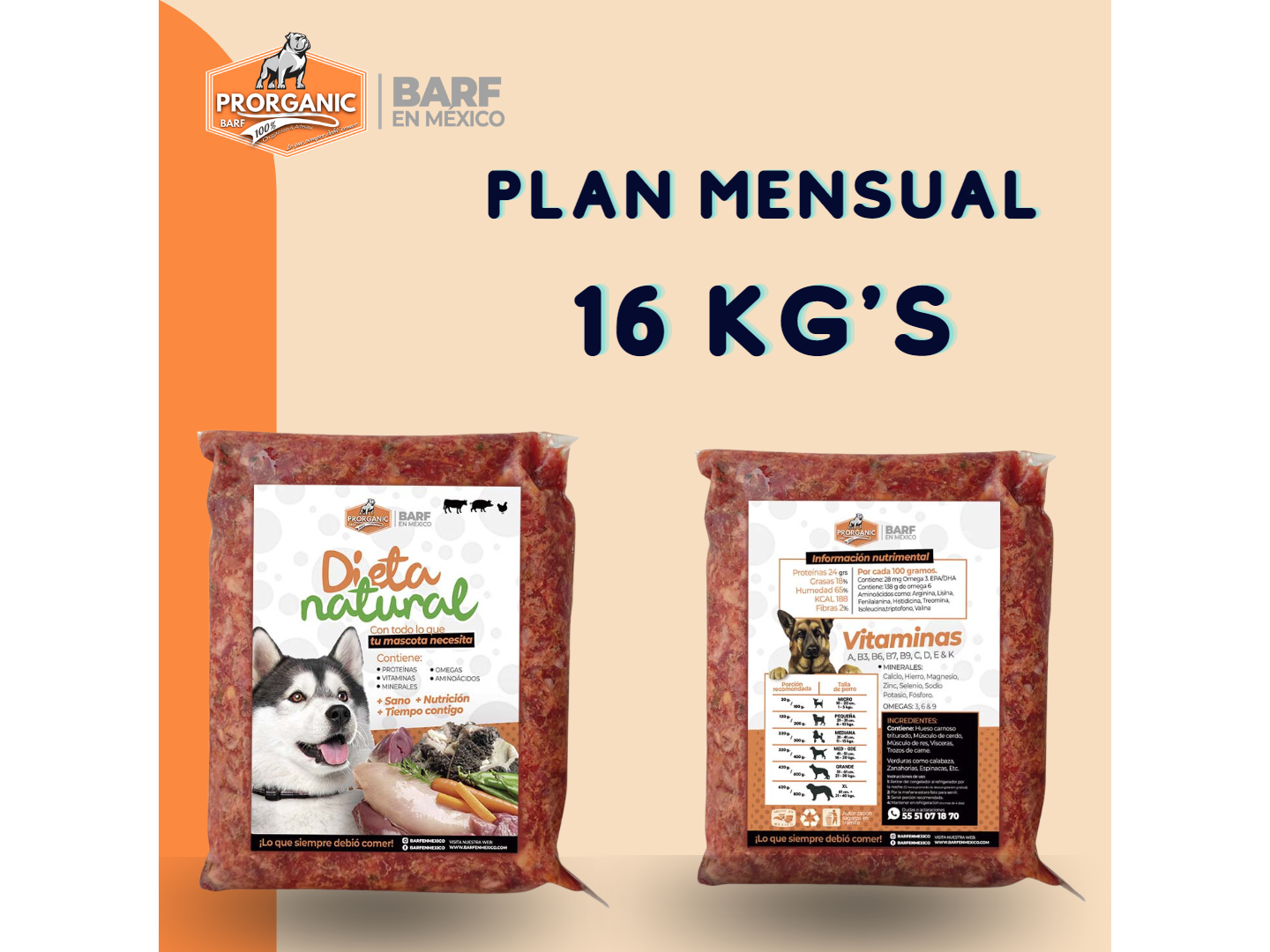 Plan Mensual Dieta Natural 16 Kg's