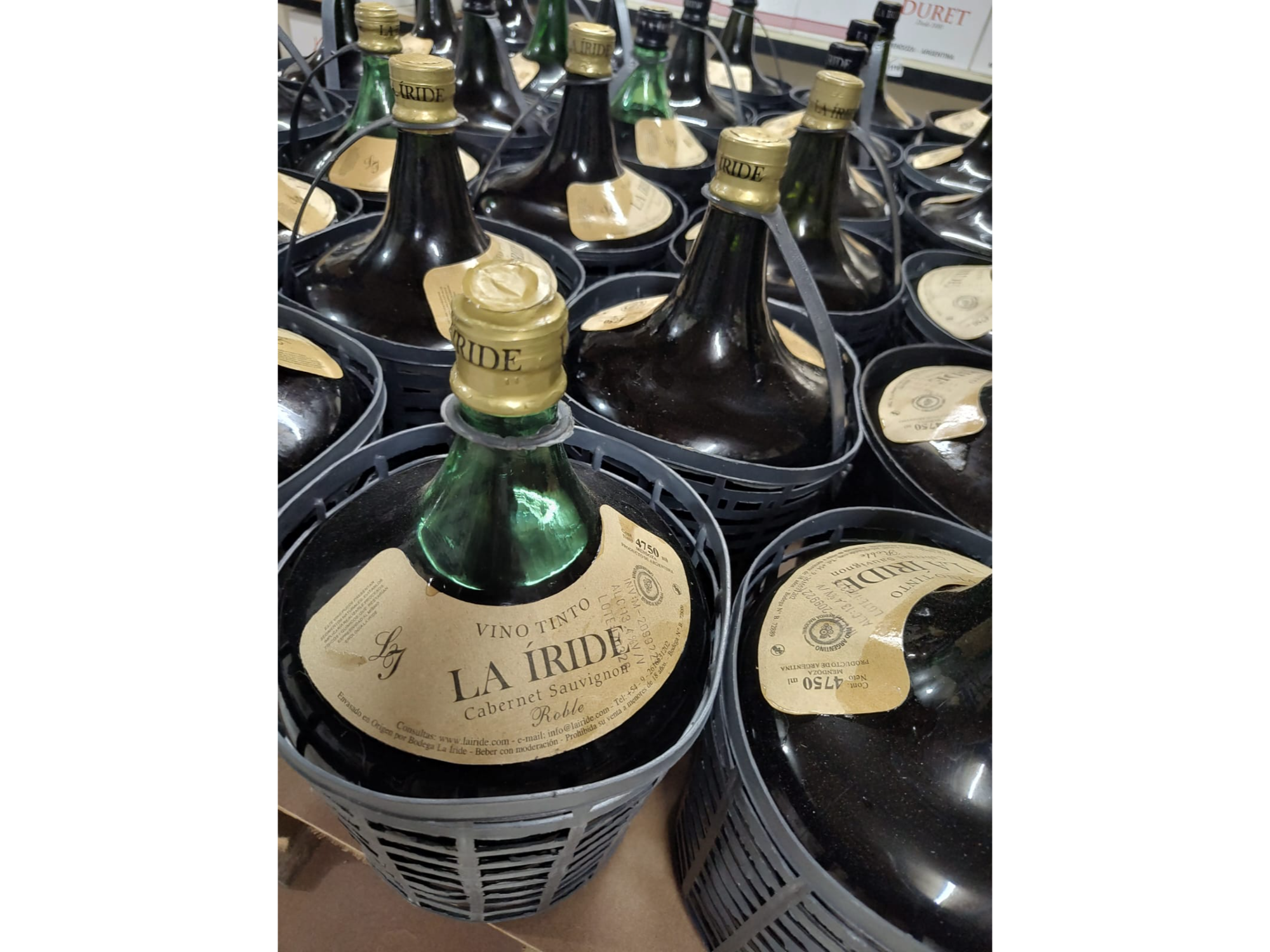 DAMAJUANA IRIDE ROBLE MALBEC