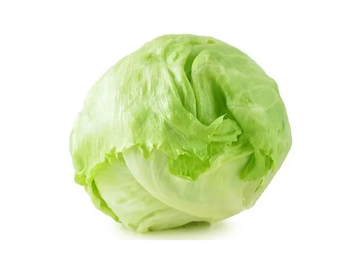 Lechuga repollada