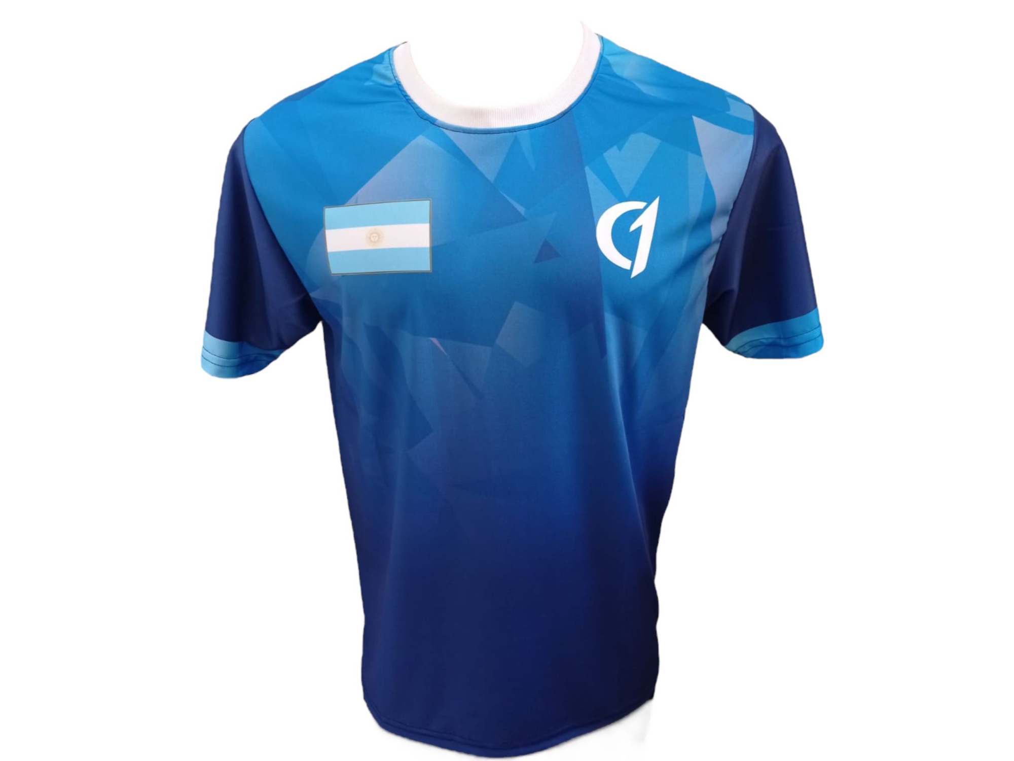 Remera Class One Sublimada Modelo 7