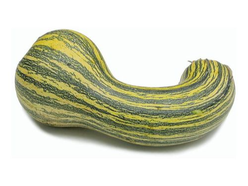 CALABAZA