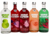 Vodka Absolut