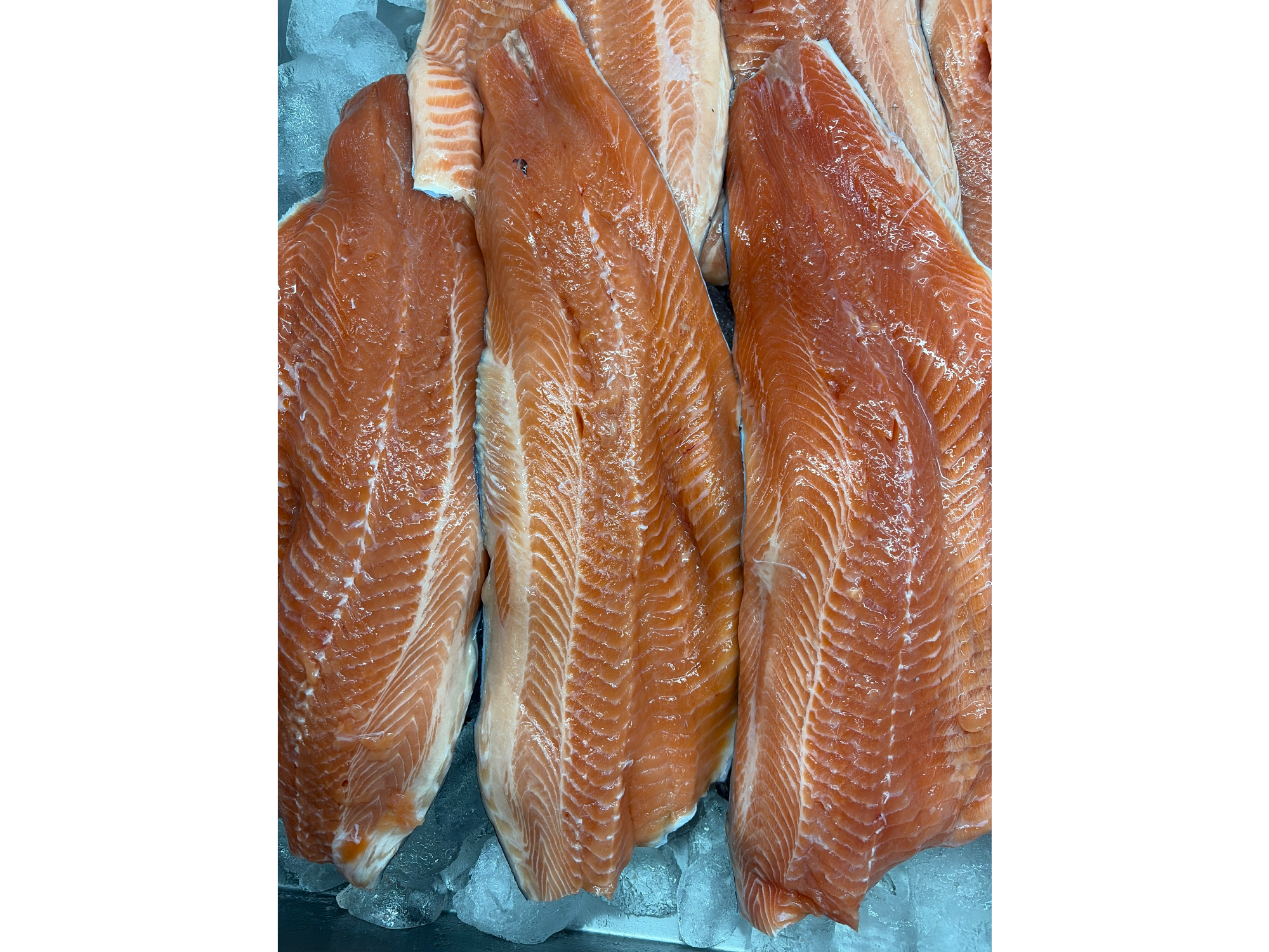 Trucha salmonda filet