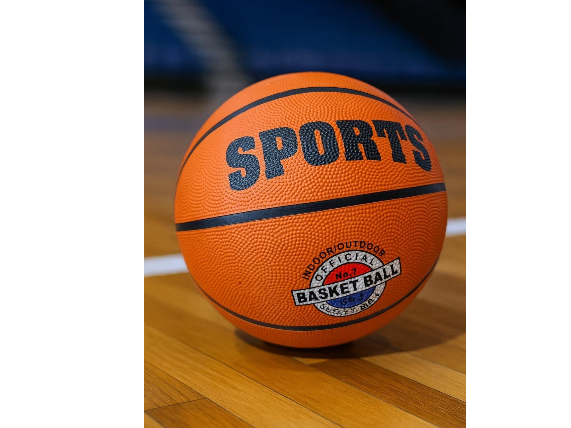 Pelota de Básquetbol