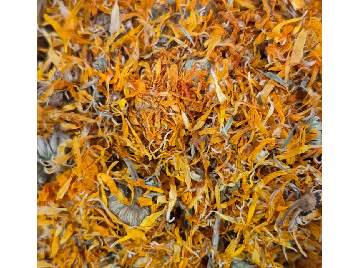 Calendula