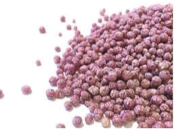 Quinoa POP con Arandano x 3 kg