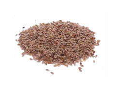 Semilla de Psyllium
