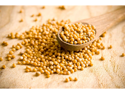 Mostaza en grano