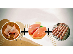 3kg de Pata Muslo+3kg de Suprema + 1 Maple Huevo