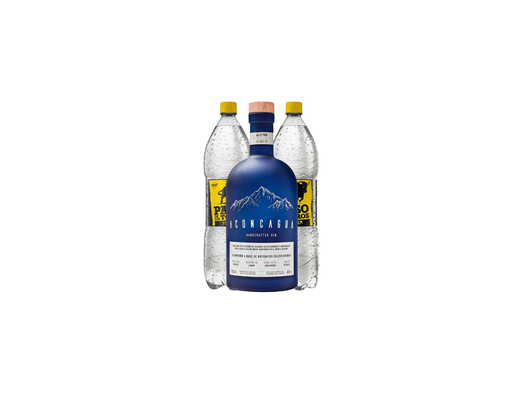 Aconcagua Azul + 2 tonicas 1.5L