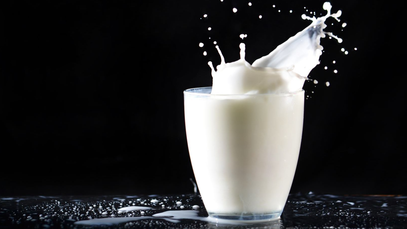 LECHE FLUIDA