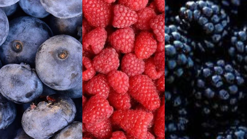 FRUTOS CONGELADOS GRANEL