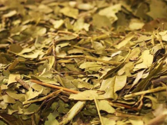 YERBA MATE ANTIÁCIDA SUAVE de La Naturista