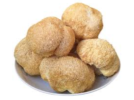 MELENA DE LEÓN (hericium erinaeus)