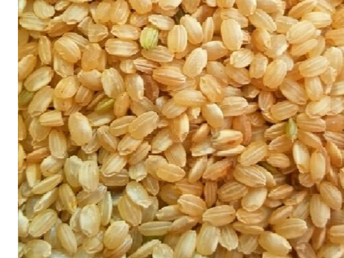 ARROZ INTEGRAL YAMANI