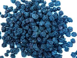 ARANDANOS AZULES DESHIDRATADOS x 100 GRS