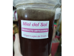 MIEL DEL SOL x 500 GRS (LUJAN DE CUYO)