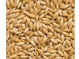 ALPISTE CONSUMO HUMANO