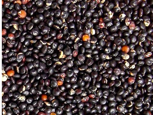 QUINOA NEGRA