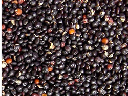QUINOA NEGRA