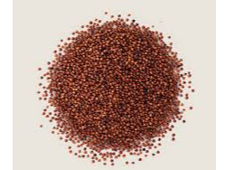 QUINOA ROJA
