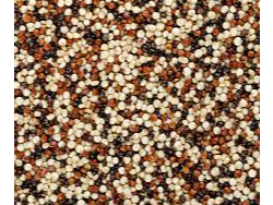 QUINOA TRICOLOR (QUINOA NEGRA, QUINOA ROJA, QUINOA BLANCA)