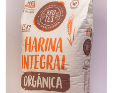 HARINA INTEGRAL ORGANICA