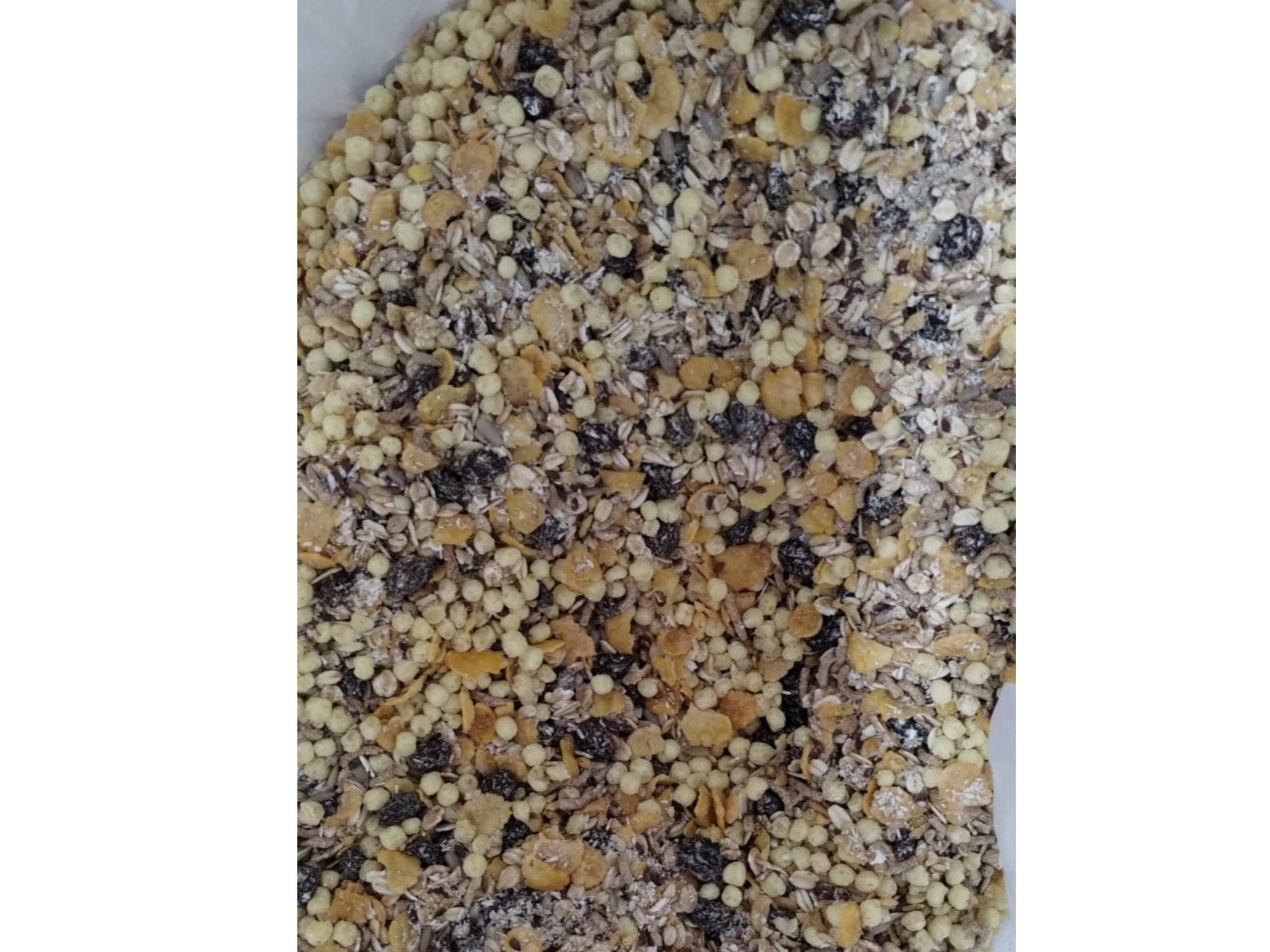 GRANOLA VEGANA ( SIN MIEL ) x KG