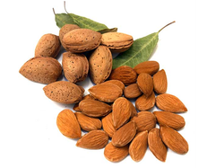 ALMENDRAS GUARA x KG