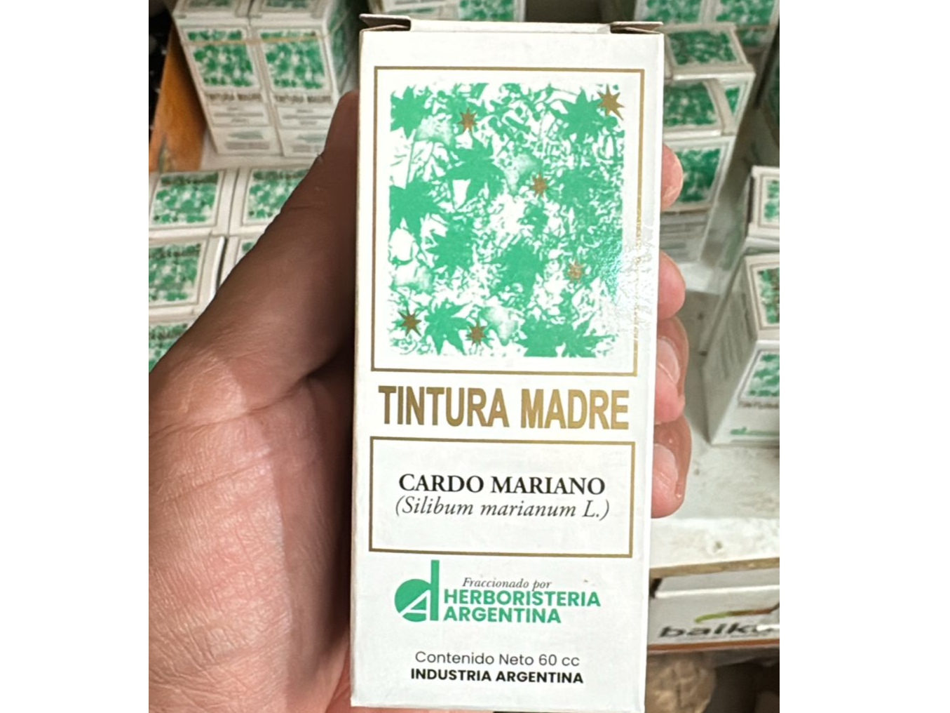 CARDO MARIANO x 60 CC