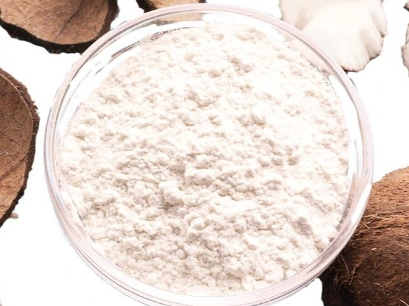 LECHE DE COCO EN POLVO VEGANA x 100 GRS